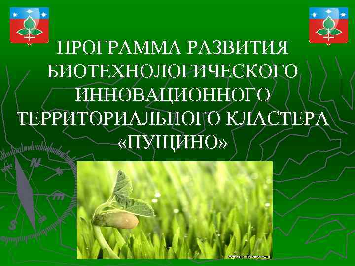 ПРОГРАММА РАЗВИТИЯ БИОТЕХНОЛОГИЧЕСКОГО ИННОВАЦИОННОГО ТЕРРИТОРИАЛЬНОГО КЛАСТЕРА «ПУЩИНО» 