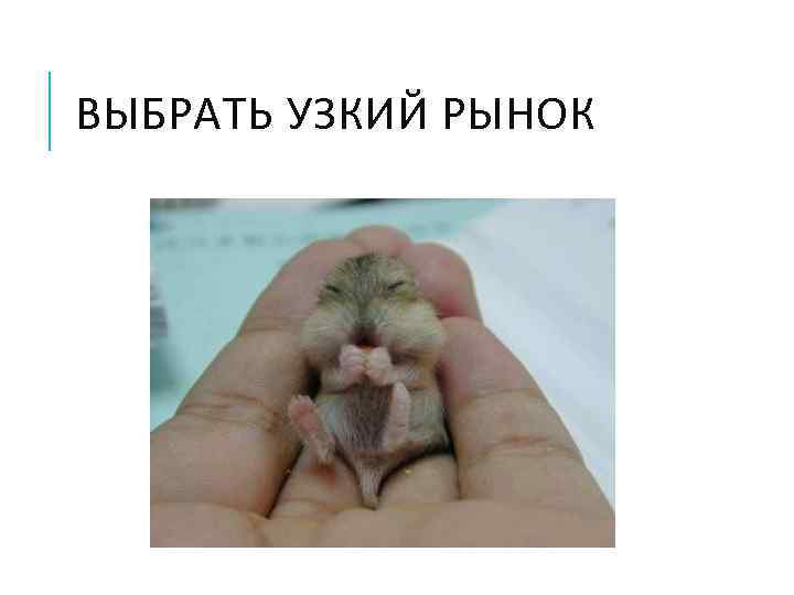 ВЫБРАТЬ УЗКИЙ РЫНОК 