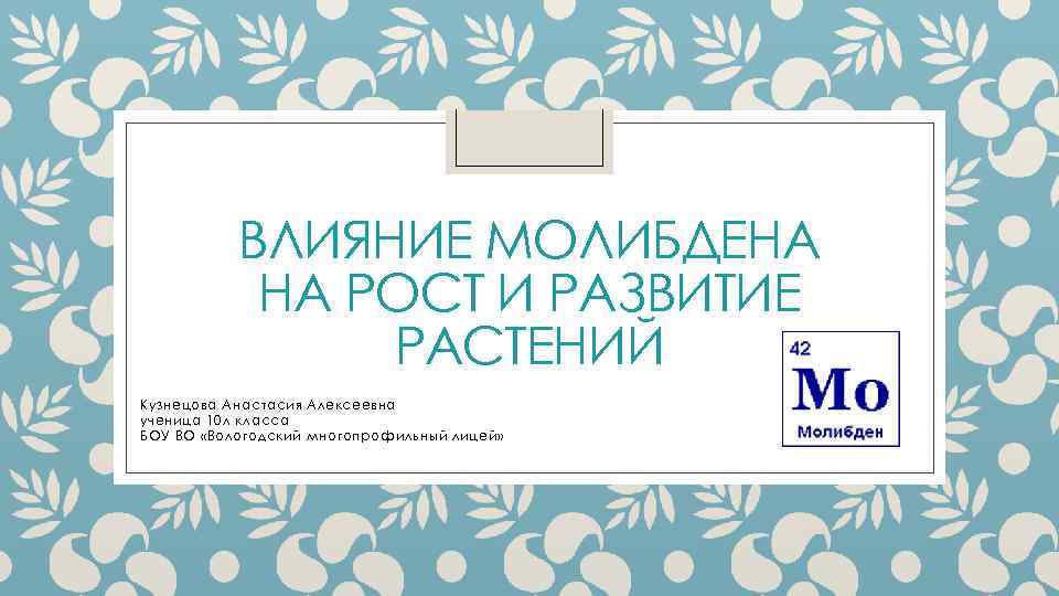 ВЛИЯНИЕ МОЛИБДЕНА НА РОСТ И РАЗВИТИЕ РАСТЕНИЙ Кузнецова Анастасия Алексеевна ученица 10 л класса