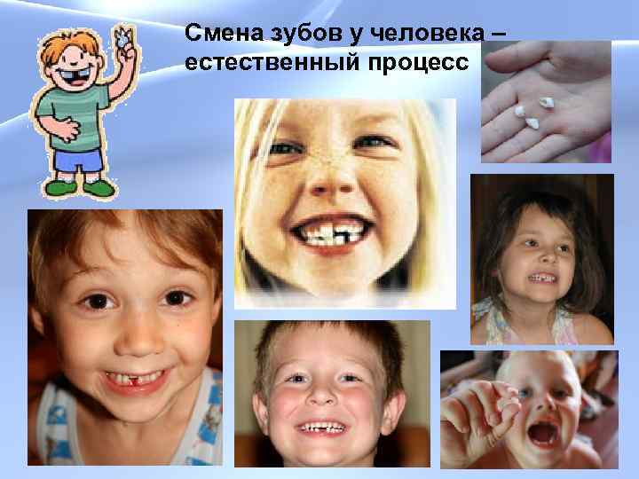 Смена зубов у человека – естественный процесс 