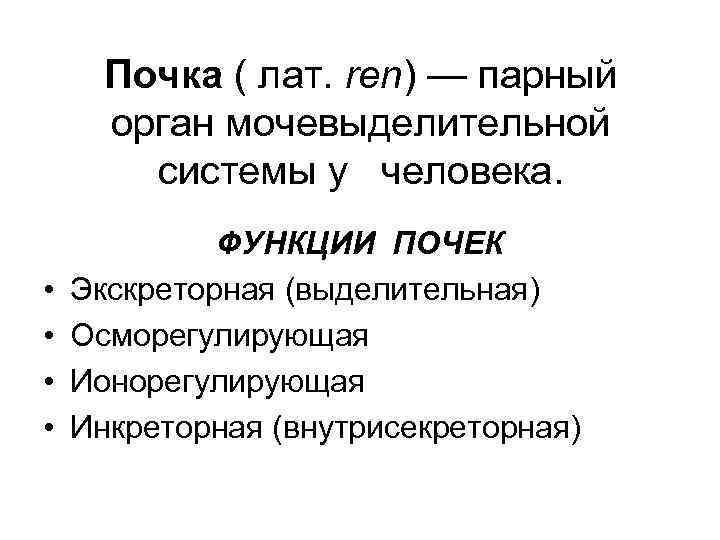 Почка ( лат. ren) — парный орган мочевыделительной системы у человека. • • ФУНКЦИИ