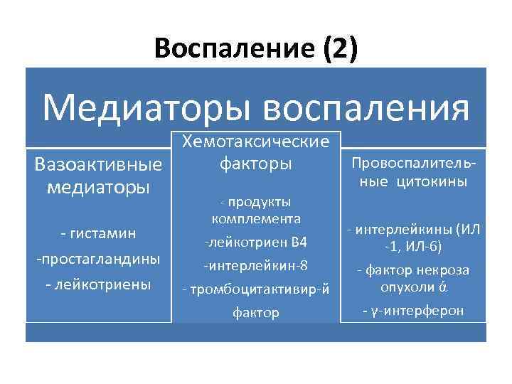 Медиаторы воспаления вызывают схема