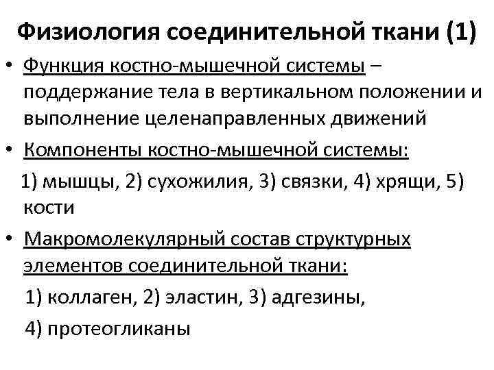 Физиология соединительной ткани (1) • Функция костно-мышечной системы – поддержание тела в вертикальном положении