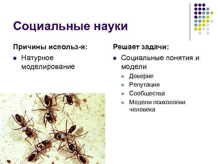 Социальные науки Причины использ-я: l Натурное моделирование Решает задачи: l Социальные понятия и модели