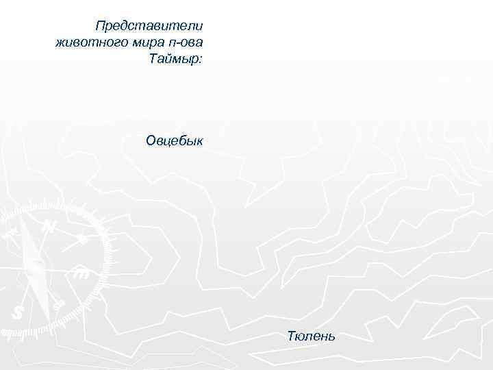 Представители животного мира п-ова Таймыр: Овцебык Тюлень 