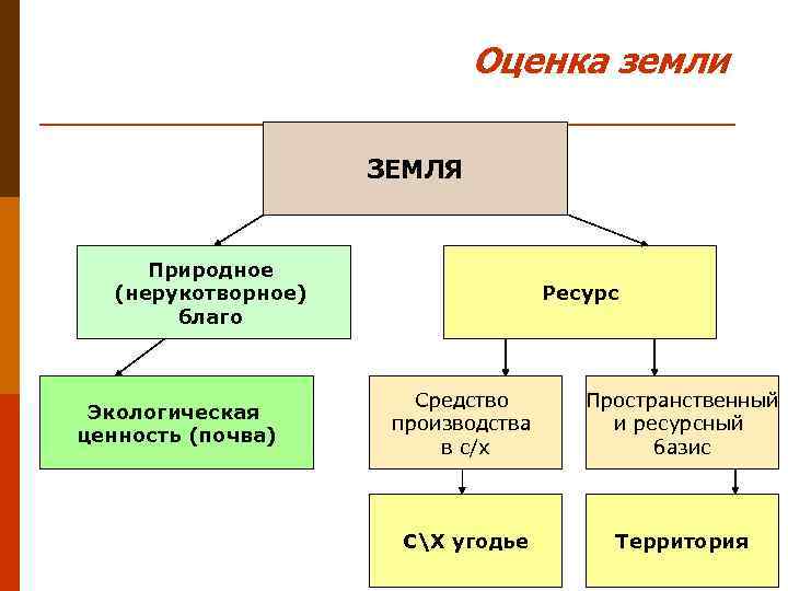 Земля как природный ресурс и средство производства