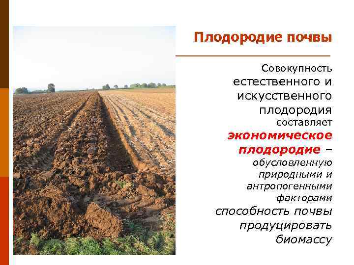 Уменьшения естественного плодородия почв. Плодородие почвы. Естественное плодородие почвы. Эффективное плодородие почвы это. Почвы по плодородности.