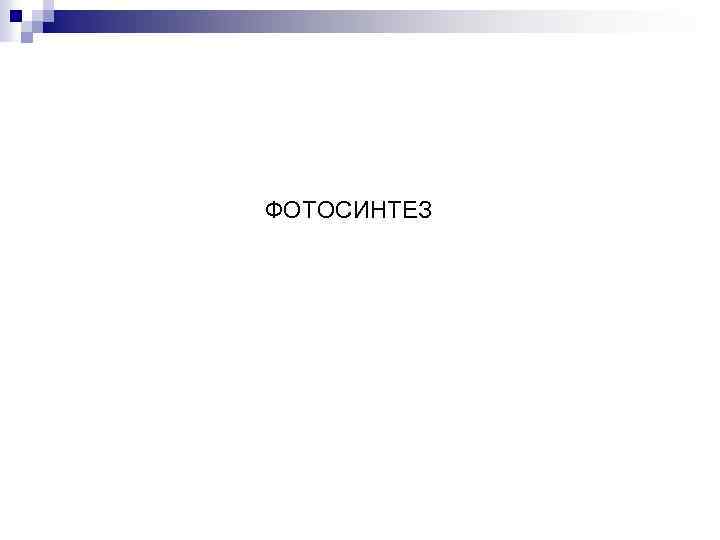 ФОТОСИНТЕЗ 