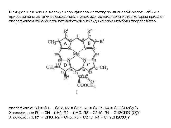 В пиррольном кольце молекул хлорофиллов к остатку пропионовой кислоты обычно присоединены остатки высокомолекулярных изопреноидных