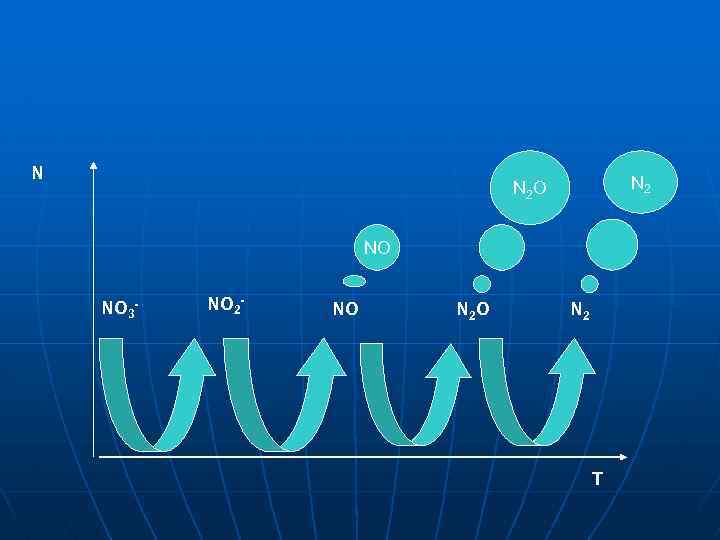 N N 2 O NO NO 3 - NO 2 - NO N 2