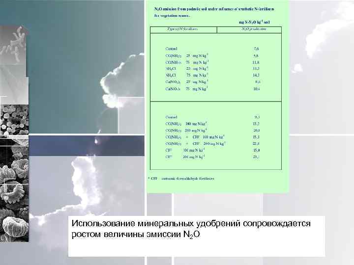 Использование минеральных удобрений сопровождается ростом величины эмиссии N 2 O 