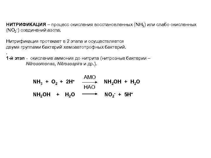 НИТРИФИКАЦИЯ – процесс окисления восстановленных (NH 3) или слабо окисленных (NO 2 -) соединений