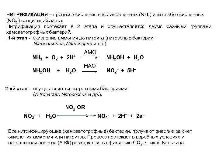 НИТРИФИКАЦИЯ – процесс окисления восстановленных (NH 3) или слабо окисленных (NO 2 -) соединений