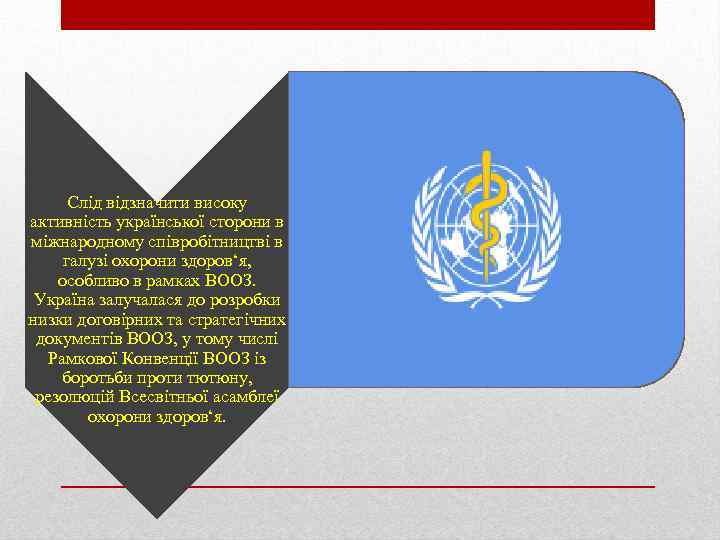 Слід відзначити високу активність української сторони в міжнародному співробітництві в галузі охорони здоров‘я, особливо