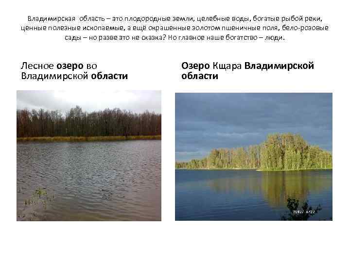 Владимирская область – это плодородные земли, целебные воды, богатые рыбой реки, ценные полезные ископаемые,