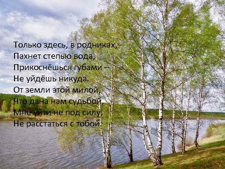 Только здесь, в родниках, Пахнет степью вода, Прикоснёшься губами – Не уйдёшь никуда. От