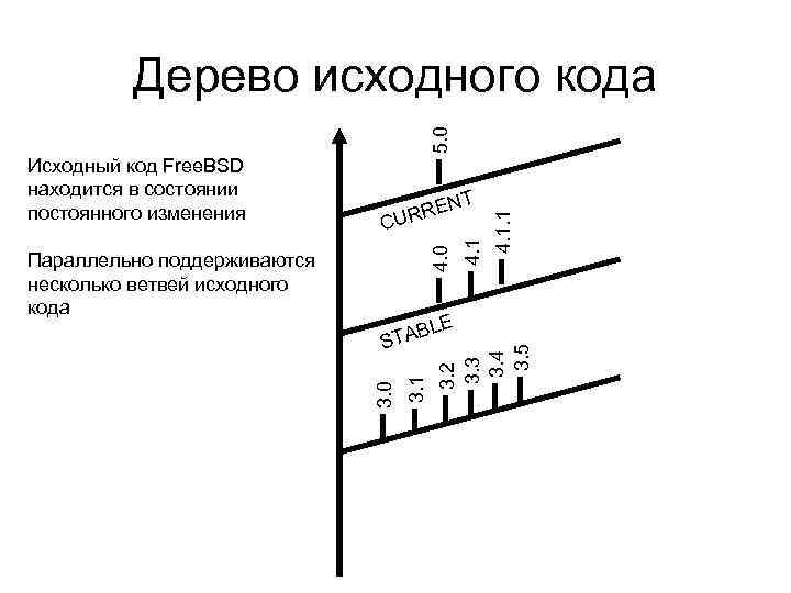 T N RRE U Параллельно поддерживаются несколько ветвей исходного кода 3. 1 3. 0