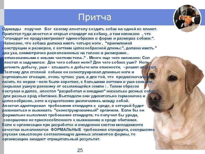 Притча Однажды поручил Бог своему апостолу создать собак на одной из планет. Прилетел туда