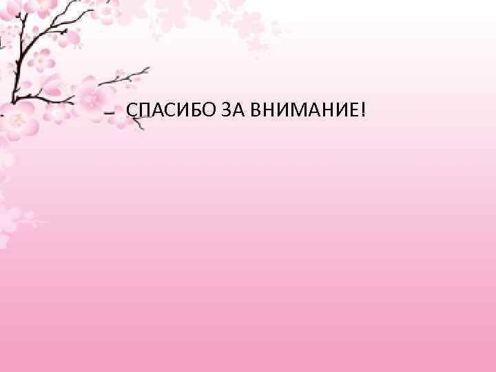 СПАСИБО ЗА ВНИМАНИЕ! 