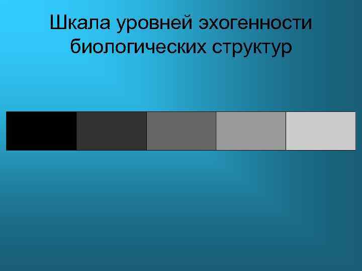 Шкала уровней эхогенности биологических структур 