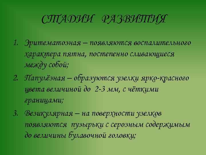 СТАДИИ РАЗВИТИЯ 1. Эритематозная – появляются воспалительного характера пятна, постепенно сливающиеся между собой; 2.