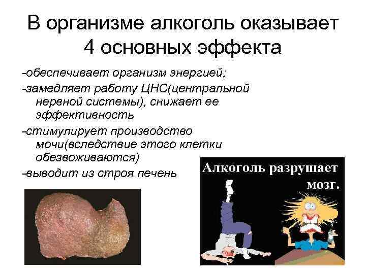 В организме алкоголь оказывает 4 основных эффекта -обеспечивает организм энергией; -замедляет работу ЦНС(центральной нервной