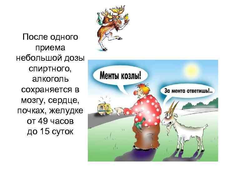 После одного приема небольшой дозы спиртного, алкоголь сохраняется в мозгу, сердце, почках, желудке от