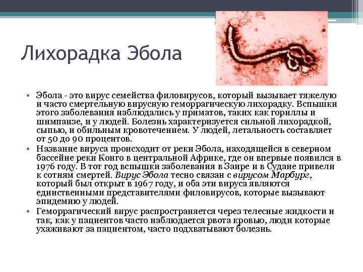 Лихорадка Эбола • Эбола - это вирус семейства филовирусов, который вызывает тяжелую и часто