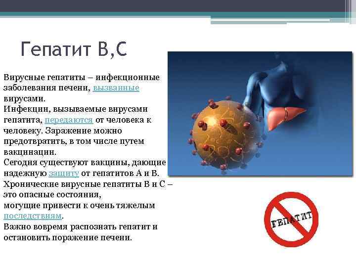 Гепатит В, С Вирусные гепатиты – инфекционные заболевания печени, вызванные вирусами. Инфекции, вызываемые вирусами