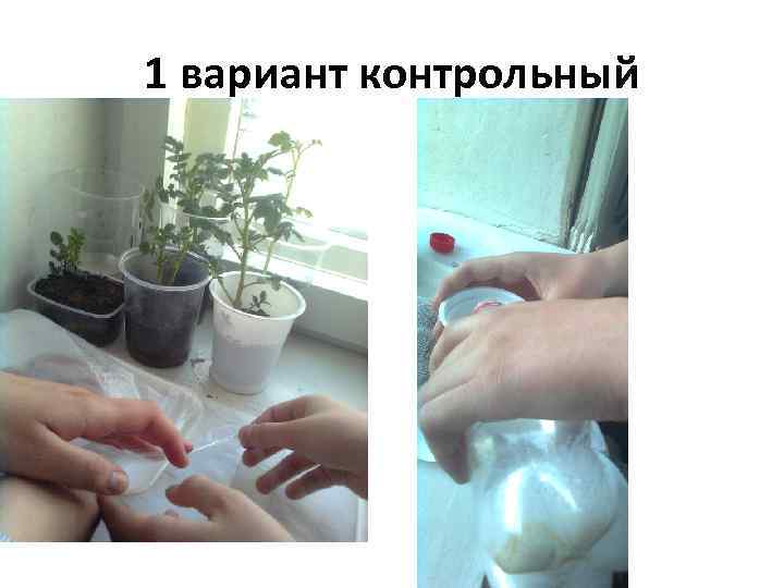 1 вариант контрольный 