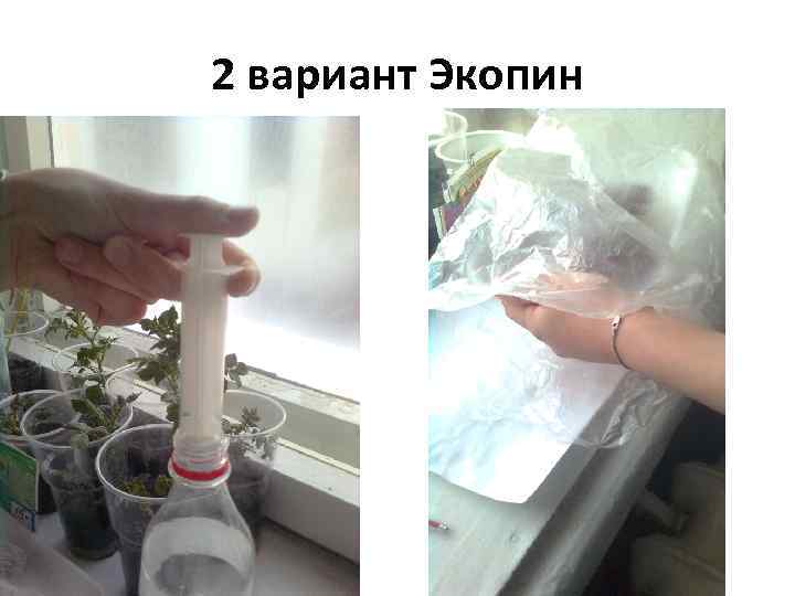 2 вариант Экопин 