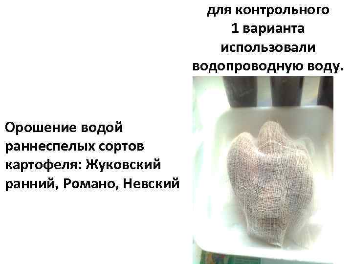 для контрольного 1 варианта использовали водопроводную воду. Орошение водой раннеспелых сортов картофеля: Жуковский ранний,