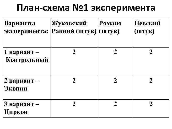 План-схема № 1 эксперимента Варианты Жуковский Романо эксперимента: Ранний (штук) Невский (штук) 1 вариант
