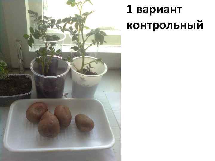 1 вариант контрольный 