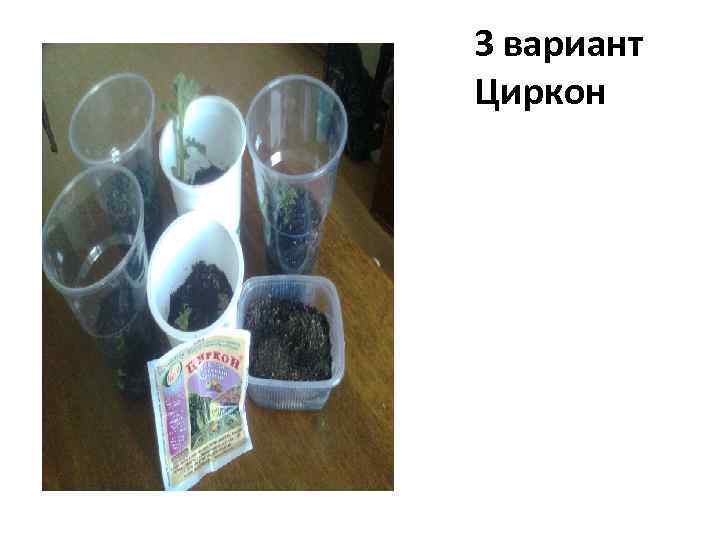 3 вариант Циркон 