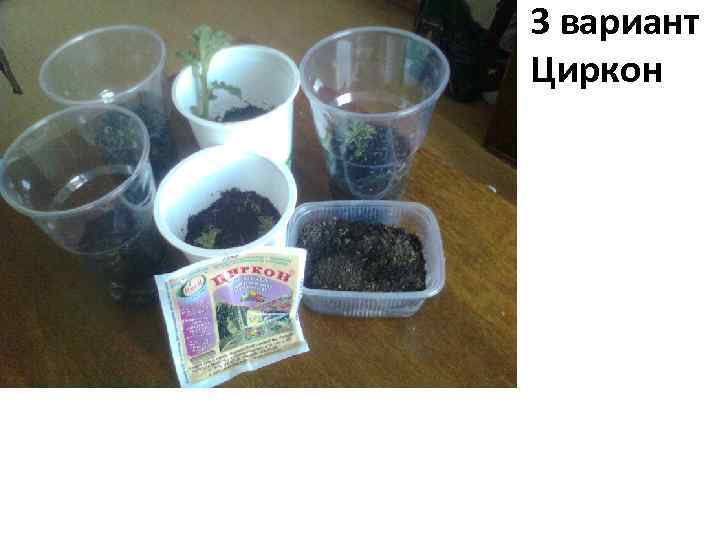 3 вариант Циркон 