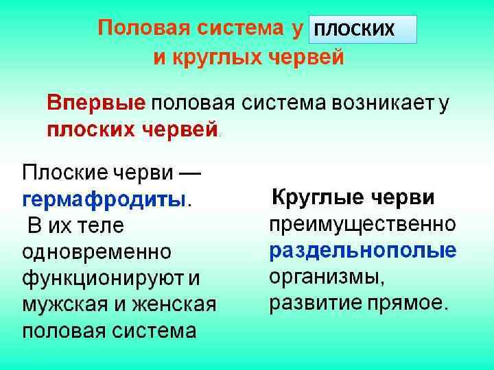 ПЛОСКИХ 