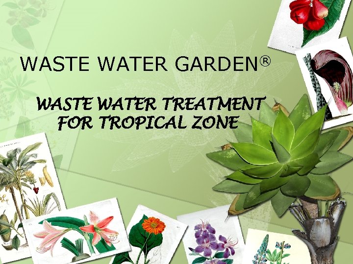 WASTE WATER GARDEN® WASTE WATER TREATMENT FOR TROPICAL ZONE 
