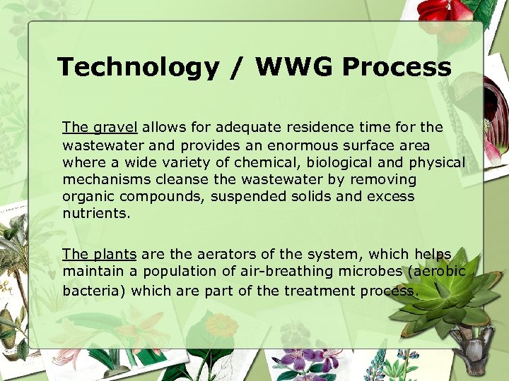 Technology / WWG Process The gravel allows for adequate residence time for the wastewater
