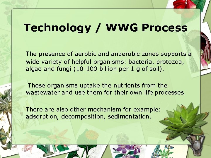 Technology / WWG Process The presence of aerobic and anaerobic zones supports a wide