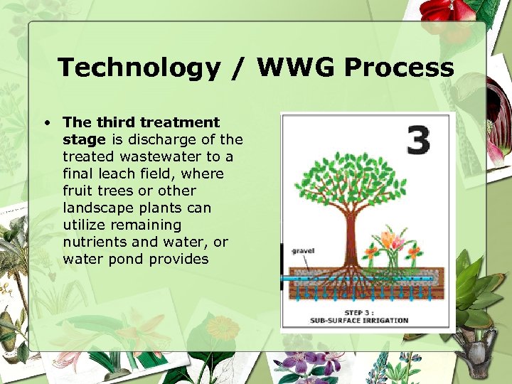 Technology / WWG Process • The third treatment stage is discharge of the treated