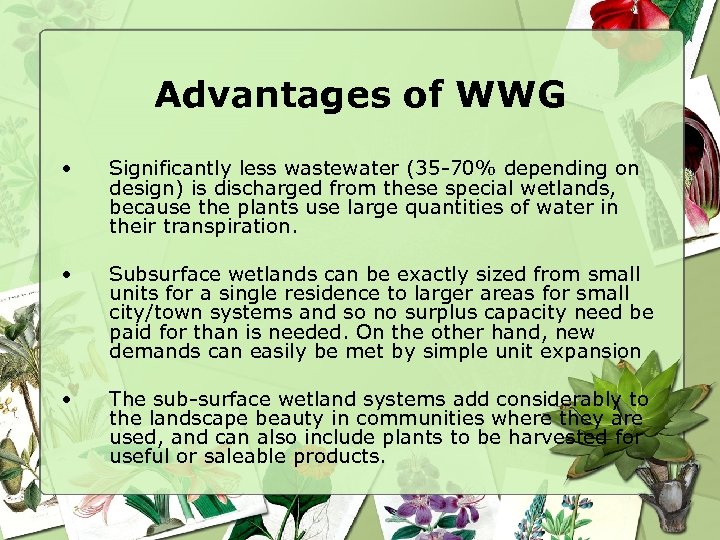 Advantages of WWG • Significantly less wastewater (35 -70% depending on design) is discharged