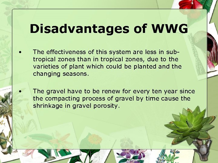 Disadvantages of WWG • The effectiveness of this system are less in subtropical zones