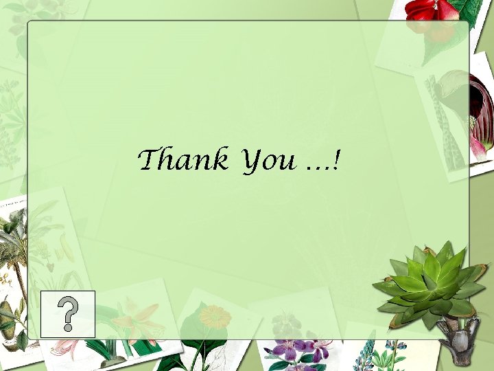 Thank You …! 