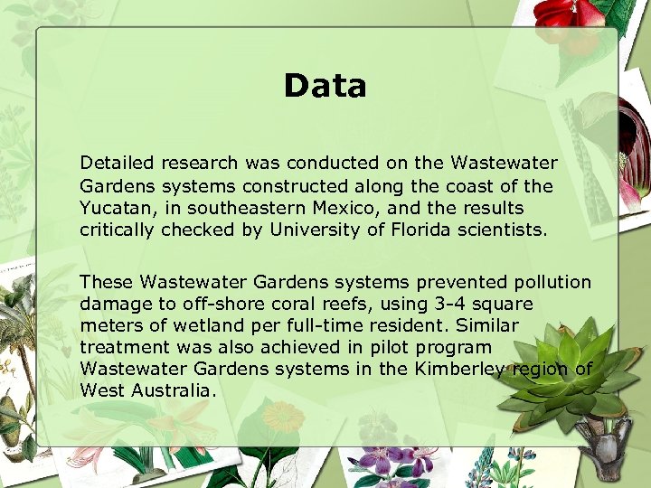 Data Detailed research was conducted on the Wastewater Gardens systems constructed along the coast
