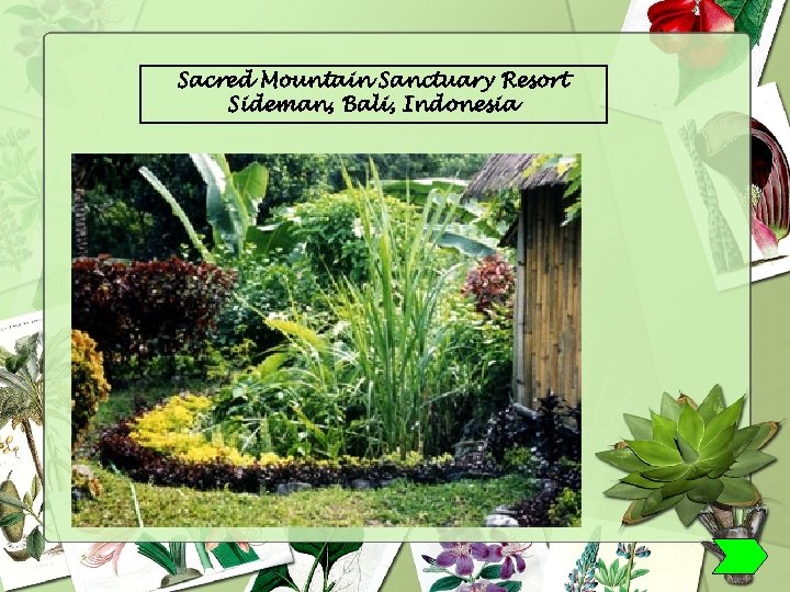 Sacred Mountain Sanctuary Resort Sideman, Bali, Indonesia 