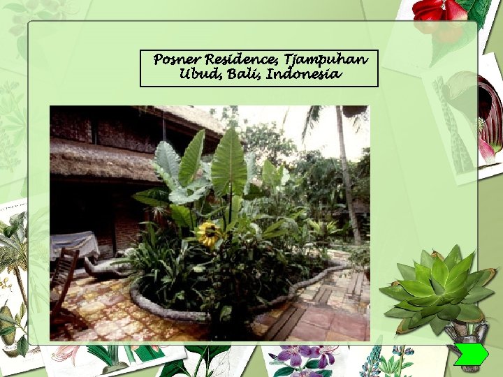 Posner Residence, Tjampuhan Ubud, Bali, Indonesia 