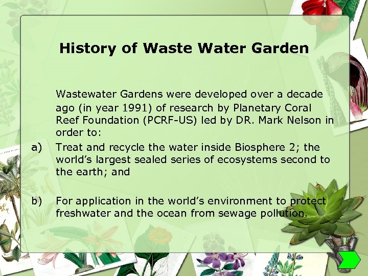 Waste Water Garden Waste Water Treatment For Tropical