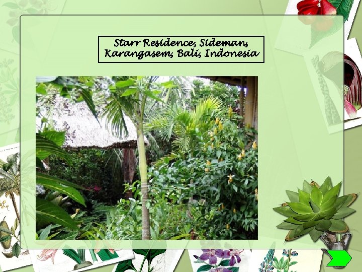 Starr Residence, Sideman, Karangasem, Bali, Indonesia 