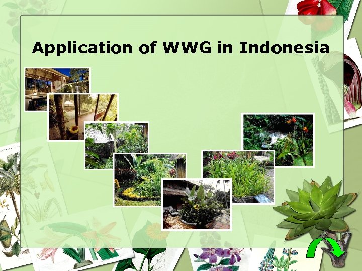 Application of WWG in Indonesia 